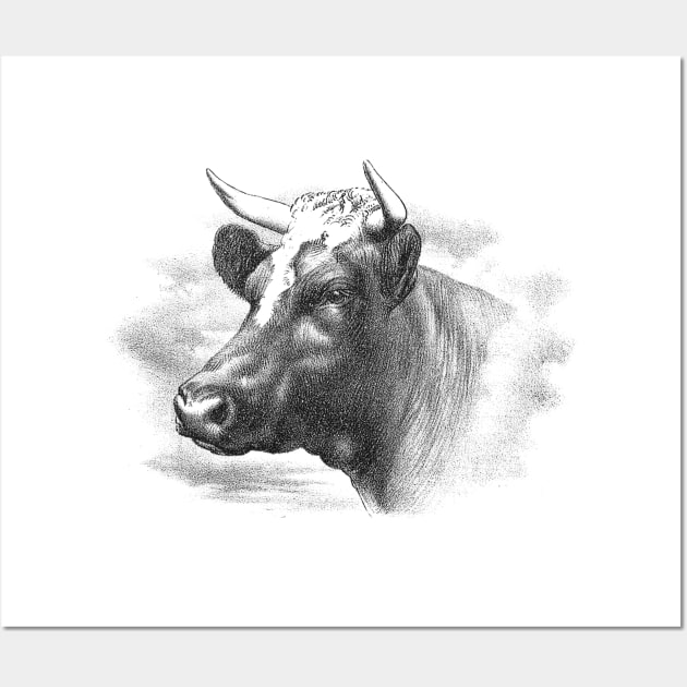 Cow Head Black & White Illustration Wall Art by Biophilia